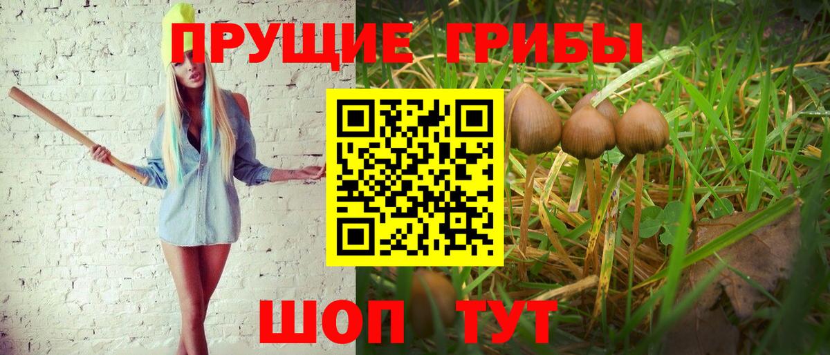 Юрга  Галлюциногенные грибы мухоморы  Псилоцибиновые грибы Magic Shrooms  Вход с VPN 