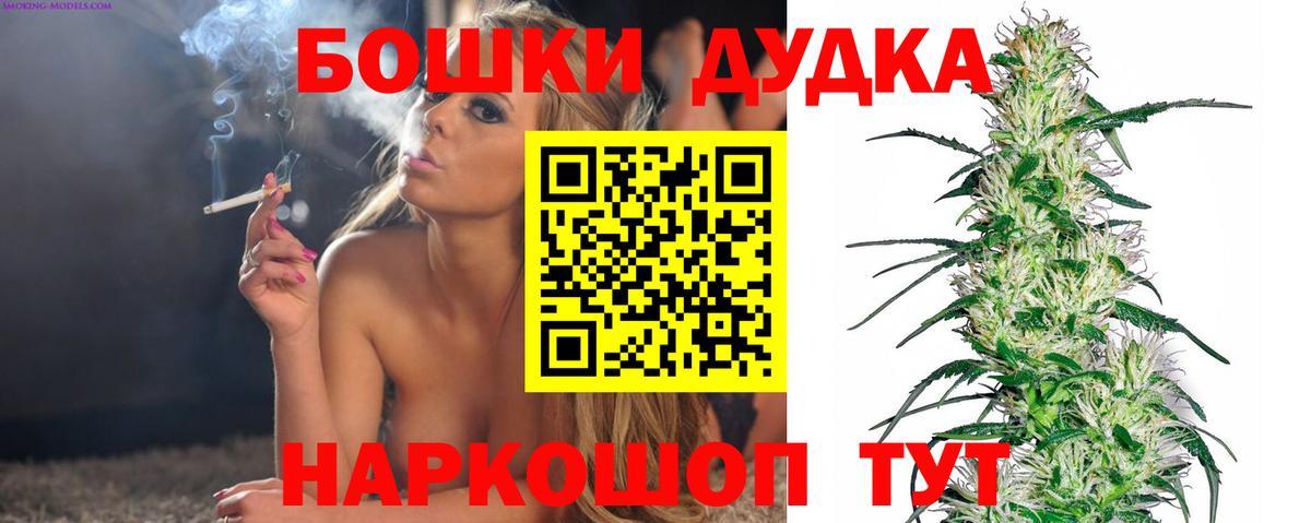 Бошки Шишки семена Юрга